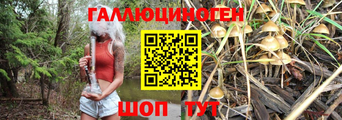 Галлюциногенные грибы Cubensis Сочи