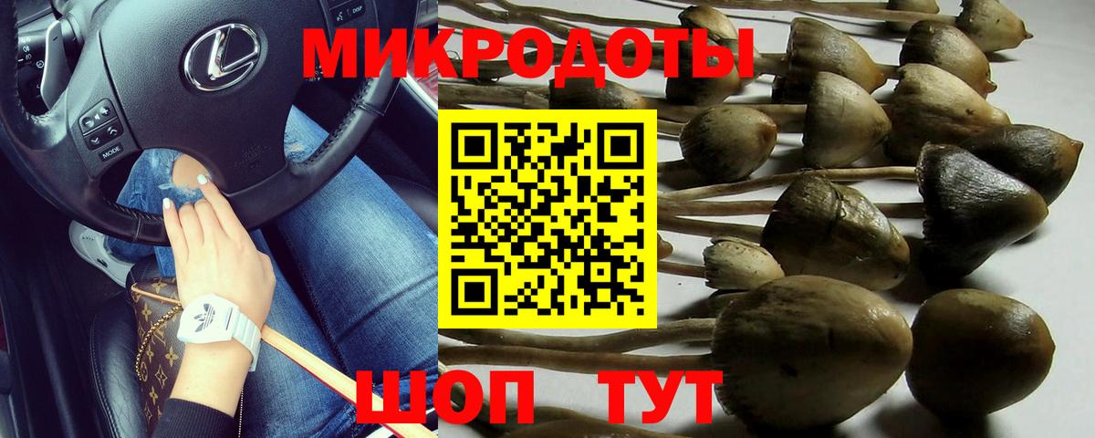 Псилоцибиновые грибы MAGIC MUSHROOMS  Галлюциногенные грибы прущие грибы  Сочи  Вход с VPN 